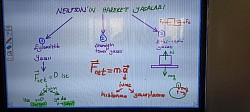 Newton1