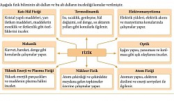 Fiziğin alt dalları