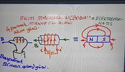 Bobinin(akım makarası)many.alanı